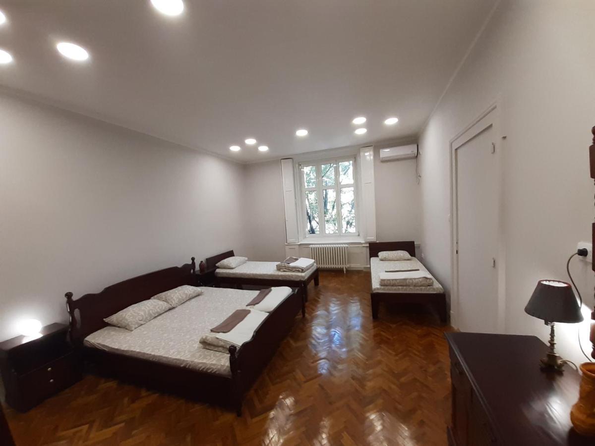 Downtown Apartment In Walk Zone With 3 Bedrooms And Garage Нови-Сад Экстерьер фото