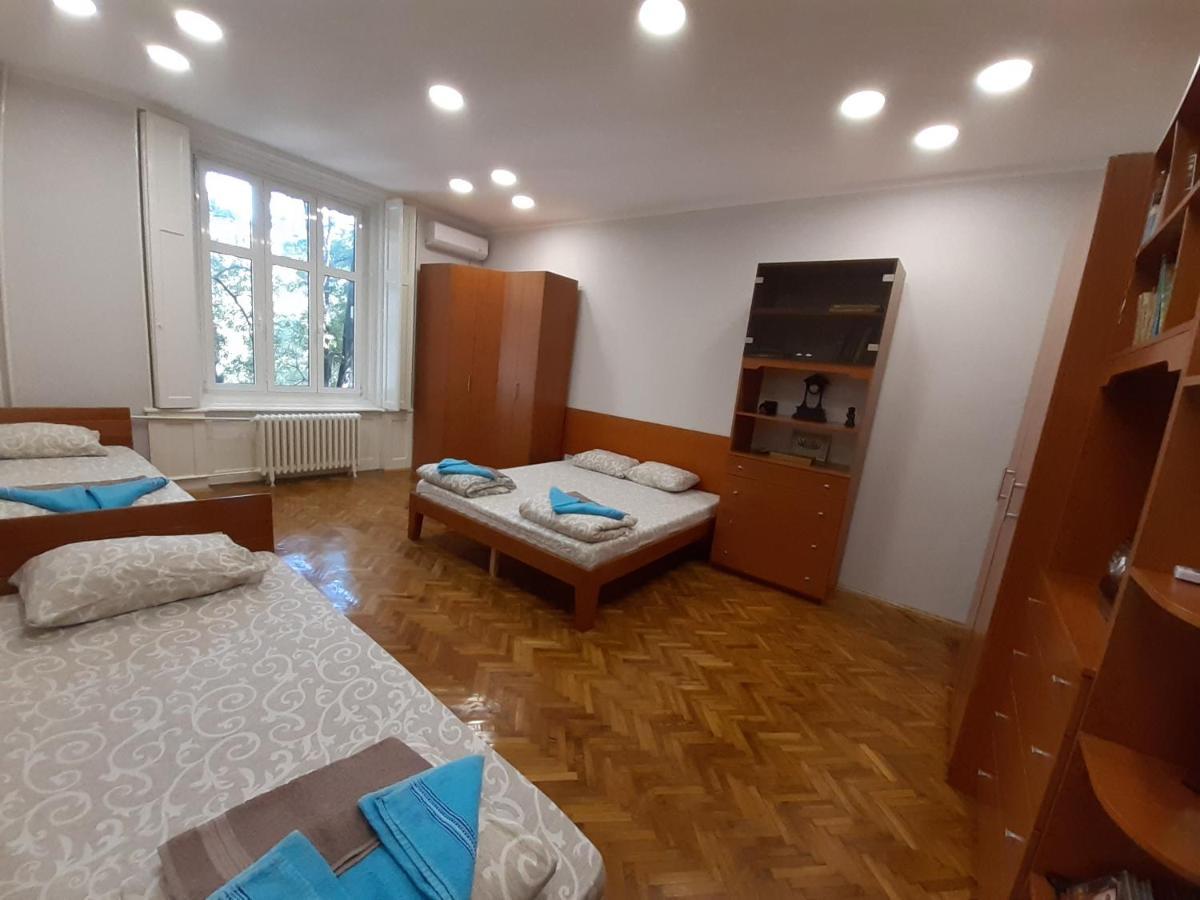 Downtown Apartment In Walk Zone With 3 Bedrooms And Garage Нови-Сад Экстерьер фото