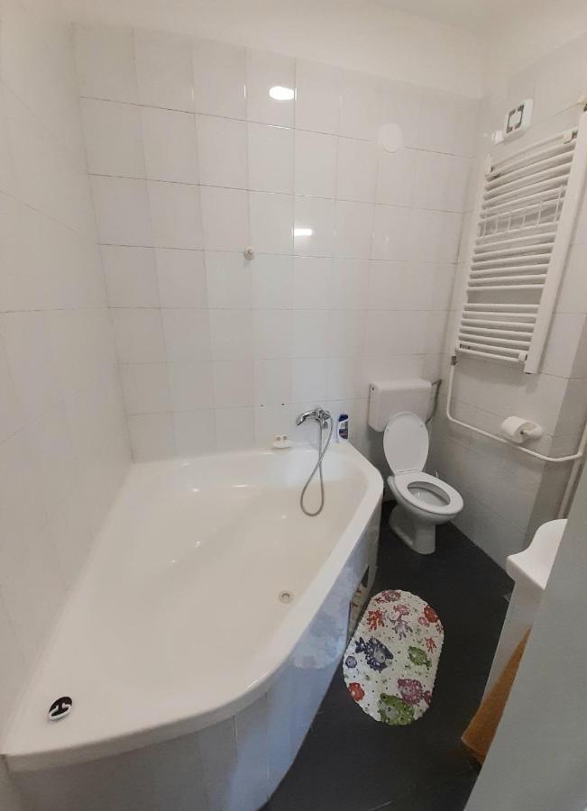 Downtown Apartment In Walk Zone With 3 Bedrooms And Garage Нови-Сад Экстерьер фото